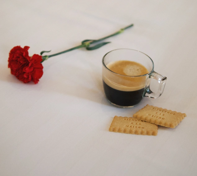 6Hôtel Joli Môme Batignolles - Concept