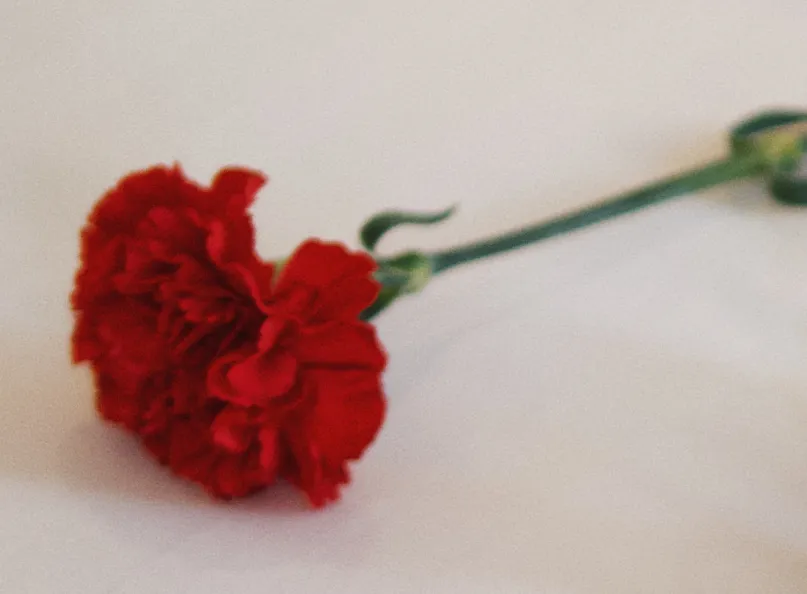 Service - Hotel Joli Môme